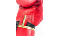 Боксерские перчатки Raja Snake red 16 oz