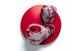 Боксерские перчатки TWINS Special FBGVL3-49 red white 16 oz