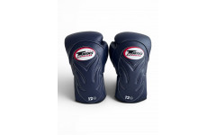 Боксерские перчатки Twins Special BGVL6 Navy/Navy 12 oz