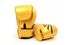 Боксерские перчатки Fairtex BGV1 Falcon 14 oz
