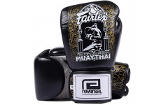 Боксерские перчатки Fairtex BGV premium Reversal 16 oz
