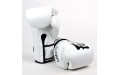 Боксерские перчатки турнира Glory Fairtex BGVG1 white 10 oz