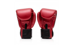 Боксерские премиальные перчатки Fairtex GOLDEN JUBILEE 16 oz