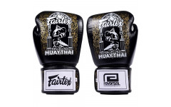 Боксерские перчатки Fairtex BGV premium Reversal 14 oz