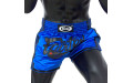 Шорты для бокса Fairtex BS1702 (синий) L Шорты для бокса Fairtex BS1702 (синий) L