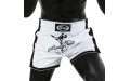 Шорты для бокса Fairtex BS1707 (белый) L Шорты для бокса Fairtex BS1707 (белый) L