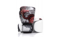 Боксерские премиальные перчатки Fairtex BGV24 10 oz