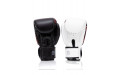 Боксерские премиальные перчатки Fairtex BGV24 14 oz