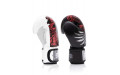 Боксерские премиальные перчатки Fairtex BGV24 14 oz
