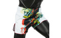 Шорты для бокса Fairtex BS1908 (белый) L