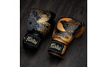 Боксерские премиальные перчатки Fairtex BGV26 Harmony Six 12 oz
