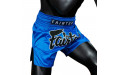 Шорты для бокса Fairtex BS1935 SAPPHIRE - 2XL