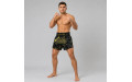Шорты для бокса Fairtex BS1947 - 2XL